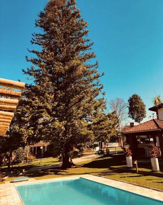 Áreas verdes ao lado da piscina