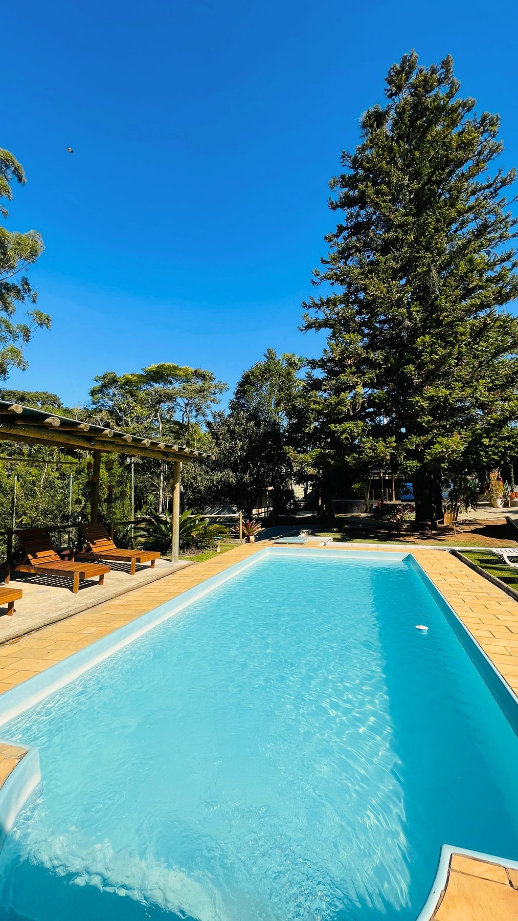 Piscina azul cercada por jardim